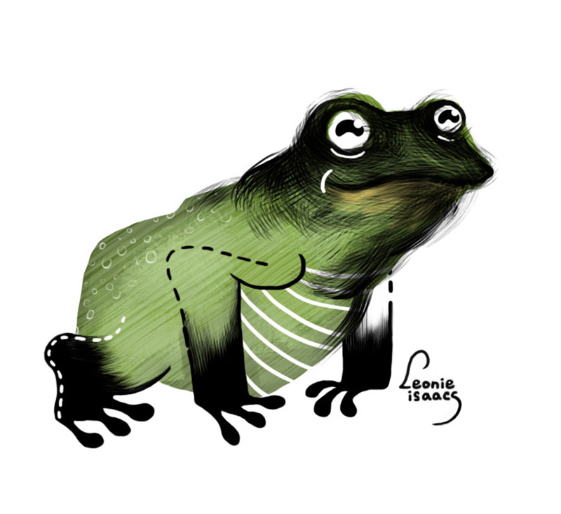 Frog Digital Design