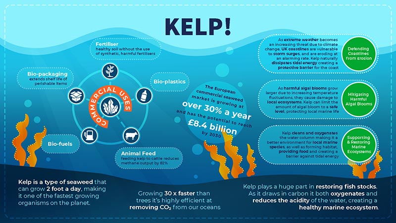 Kelp! Infographic https://www.kelp-film.com/