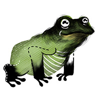 Frog Digital Design